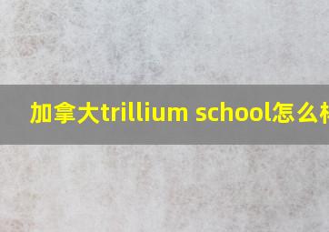 加拿大trillium school怎么样